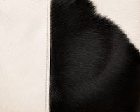 The Kalabaw cowhide